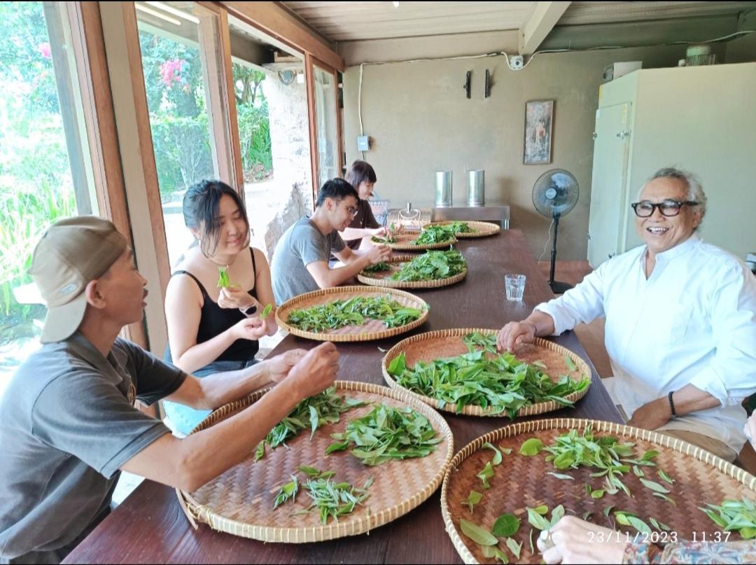 Dwan Tea Mountain Side Bed & Breakfast จาตีลูวีห์ ภายนอก รูปภาพ