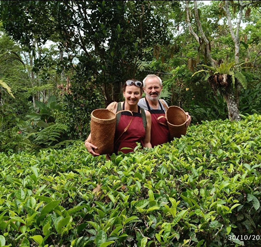 Dwan Tea Mountain Side Bed & Breakfast จาตีลูวีห์ ภายนอก รูปภาพ