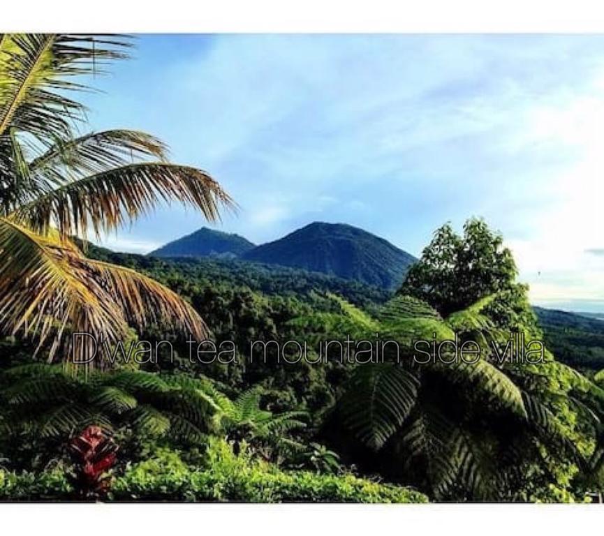 Dwan Tea Mountain Side Bed & Breakfast จาตีลูวีห์ ภายนอก รูปภาพ