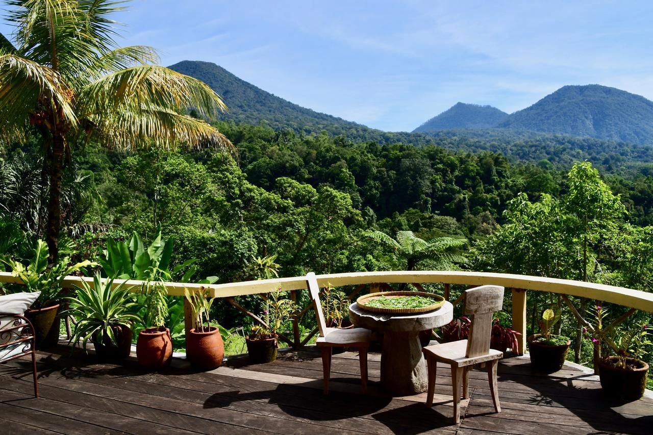 Dwan Tea Mountain Side Bed & Breakfast จาตีลูวีห์ ภายนอก รูปภาพ