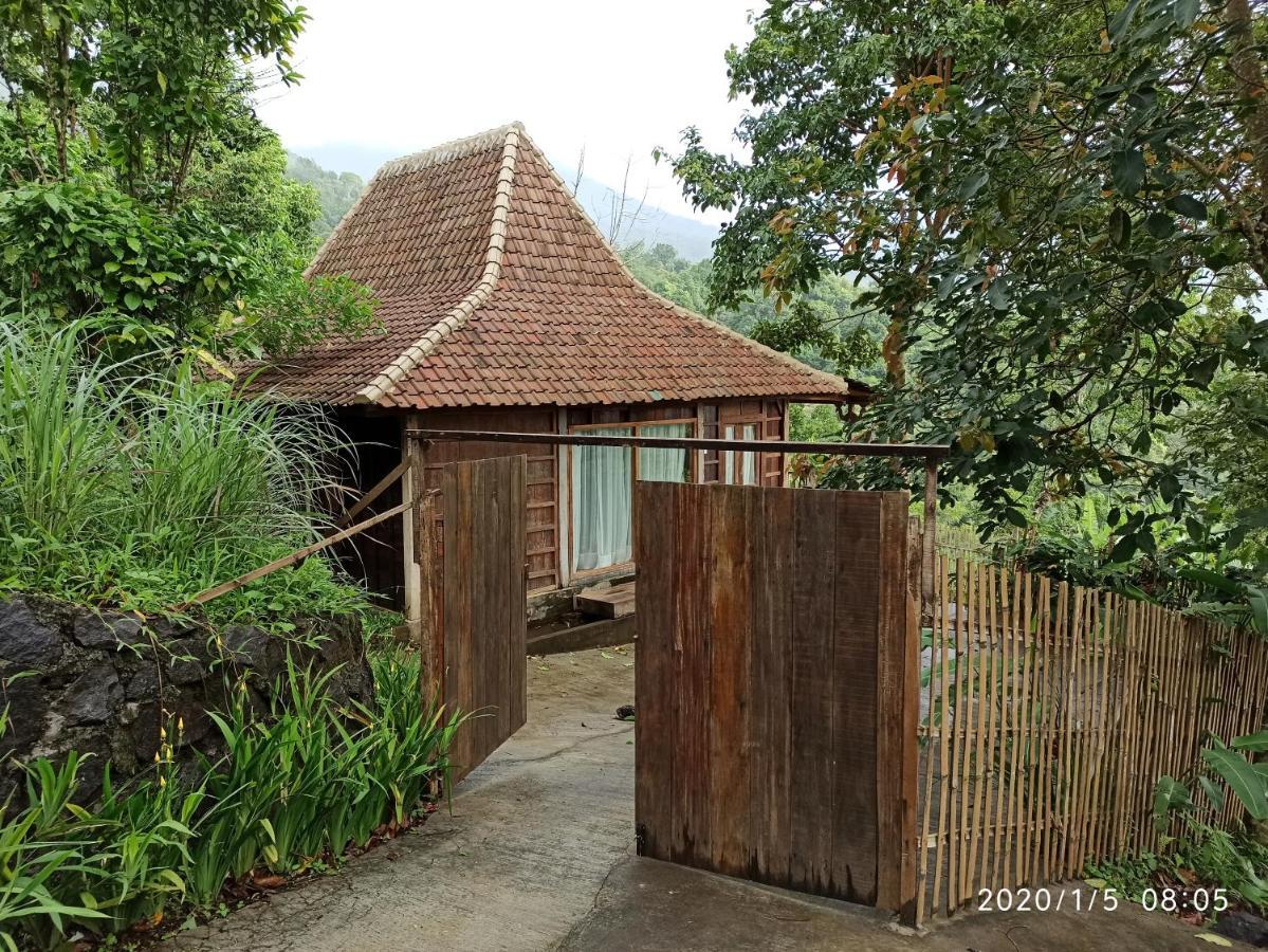 Dwan Tea Mountain Side Bed & Breakfast จาตีลูวีห์ ภายนอก รูปภาพ